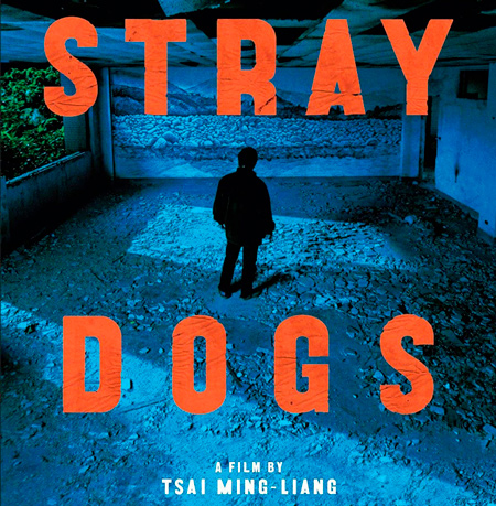 Tsai Ming-liang, Stray Dogs, 2013